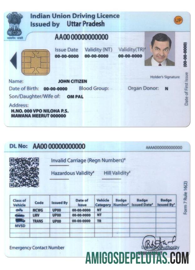 Carteira de motorista da União da Índia modelo